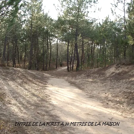 Apartment Rdc En Bordure De Foret *