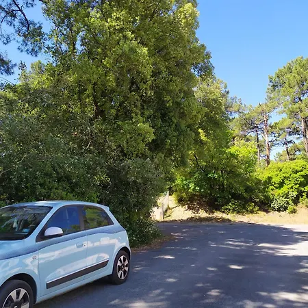 דירה Rdc En Bordure De Foret *