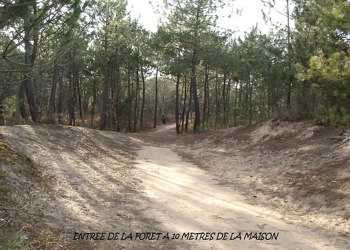 Apartmán Rdc En Bordure De Foret *