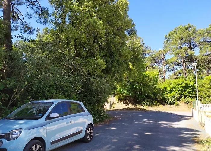 Apartmán Rdc En Bordure De Foret *